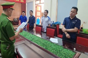 Mong được làm giáo viên, 2 gia đình… mất trắng 240 triệu đồng