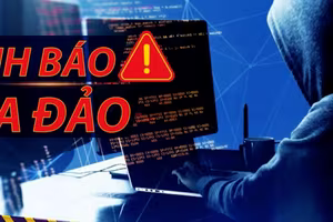 Người phụ nữ ở Hà Nội trắng tay vì ham 'hoa hồng'