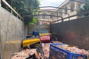 Chặn xe tải chở hơn 2 tấn mỡ, da bò ‘bẩn’