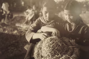 Ngẫm chuyện học xưa và nay