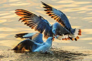 Đẹp vô cùng thiên nhiên hoang dã Việt Nam