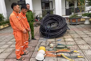 Bắt nhóm đối tượng giả là thợ điện trộm cắp tài sản