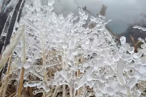 Bắc bộ chuẩn bị đón đợt rét đầu mùa, có thể xuất hiện sương muối