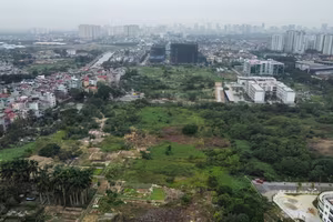 Tân Á được chuyển mục đích sử dụng gần 3ha đất nông nghiệp để xây chung cư, văn phòng