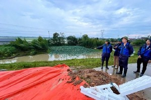 Khẩn trương xử lý sự cố lún, nứt đê hữu Cầu và đê hữu Hồng