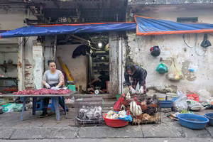 Sớm chấm dứt hoạt động giết mổ gia súc, gia cầm nhỏ lẻ, trái phép