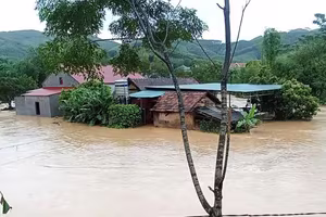 Đề nghị các tỉnh miền núi phía Bắc chủ động ứng phó với mưa lớn, sạt lở đất