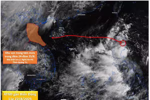 Họp khẩn ứng phó với áp thấp nhiệt đới sắp mạnh lên thành bão