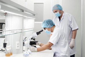 Gần 162.000 lao động nước ngoài đang làm việc tại Việt Nam