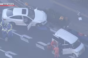 Tokyo: Bắt giữ kẻ trộm ô tô, lái xe gây tai nạn khiến 2 người thiệt mạng