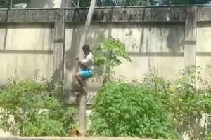 Trèo vào chuồng sư tử, thanh niên 19 tuổi bị giết chết