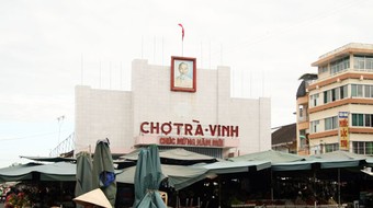 Dừa sáp Trà Vinh