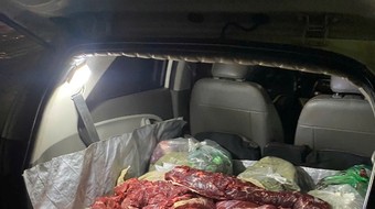 Ngăn chặn lưu thông lô hàng thịt bò có dấu hiệu phân hủy