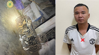 Nhóm "cẩu tặc" gây ra hàng loạt vụ trộm bị bắt giữ