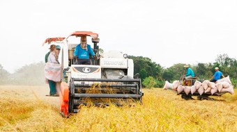 Xuất khẩu nông nghiệp vượt khó, mang về 53,1 tỷ USD