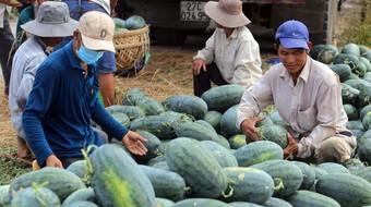 Ký kết Nghị định thư xuất khẩu dưa hấu tươi Việt Nam sang Trung Quốc