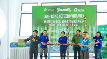 Nỗ lực bền bỉ của Vinamilk trong việc hình thành bể hấp thụ carbon từ rừng, hướng đến Net Zero
