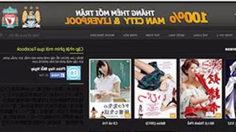 Lập trình viên kinh doanh "web sex" 