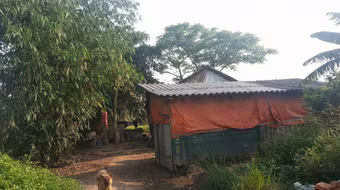 Con mang xe đi cắm, mẹ buồn bã tự thiêu