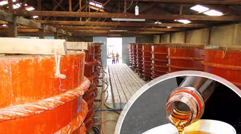 Vinastas cải chính thông tin về kết quả khảo sát nước mắm