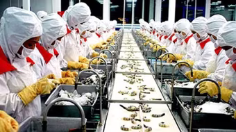 ADB: Việt Nam cắt giảm thâm hụt ngân sách chủ yếu nhờ cổ phần hoá doanh nghiệp Nhà nước