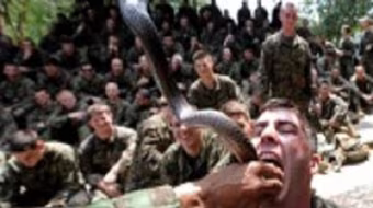 Video binh sĩ Mỹ uống máu rắn khi tập trận ở Thái Lan