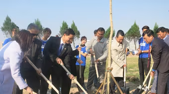 Uống chai sành, trồng cây xanh”