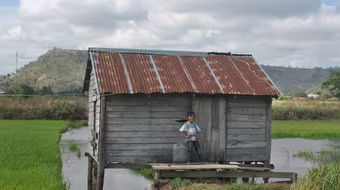 Lạ lùng chuyện “ma lúa” trừng phạt kẻ ăn trộm