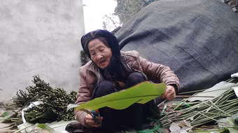 Làng lá dong nhường đất cho cam Canh