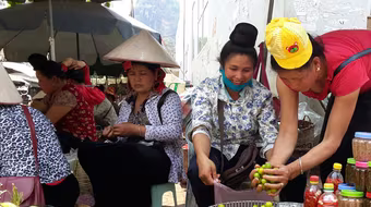 Mùa quả chín Sơn La