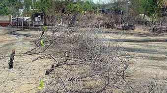 Cha ăn mặn... cha khát