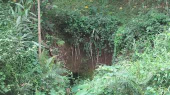 Bí ẩn những hòn đá giữa đại ngàn Trường Sơn