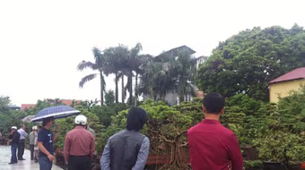 Sân chơi mới cho những người yêu cây cảnh