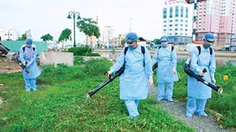 Số mắc sốt xuất huyết ở Hà Nội tăng gần 5 lần 