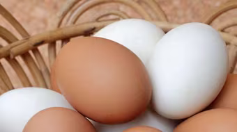 Trứng màu nâu tốt hơn trứng trắng?