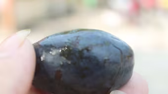 Của ngon còn một chút này