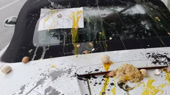 Dùng Porsche chặn lối vào, dính trứng và sơn