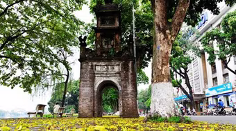 Một nét thu