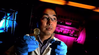 Tự chữa lành vết thương như Người Sói