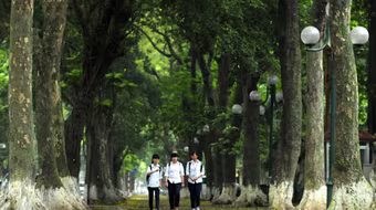 Những chuyện ngẫu nhiên ở mùa Thu