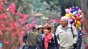 Rộn ràng sắc đào, chợ hoa Hàng Lược