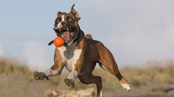 Những khoảnh khắc “khó đỡ“