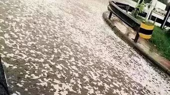 Giải đáp nghi vấn "mưa bọt trắng" bí ẩn ở Thiên Tân sau vụ nổ