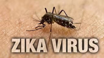 Bộ Y tế Thái Lan trấn an về tình hình lây lan virus Zika