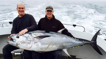 Bắt được cá ngừ vây xanh có giá 10.000 bảng Anh