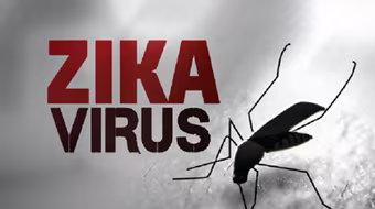 Mỹ thử nghiệm vaccine phòng virus Zika trên người