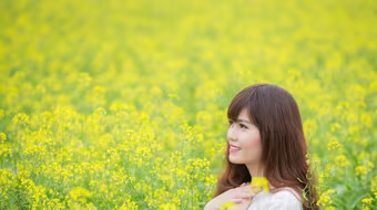 Mơ màng sắc hoa cải đầu đông 