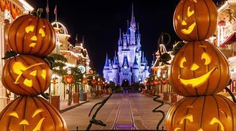 Trải nghiệm "Con đường máu" tại Công viên nước Hồ Tây