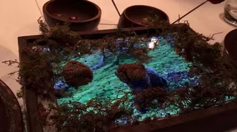 Lạ lùng nhà hàng bày đồ ăn trên... iPad 