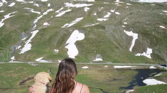 Bỏ việc để đi du lịch cùng... cún cưng